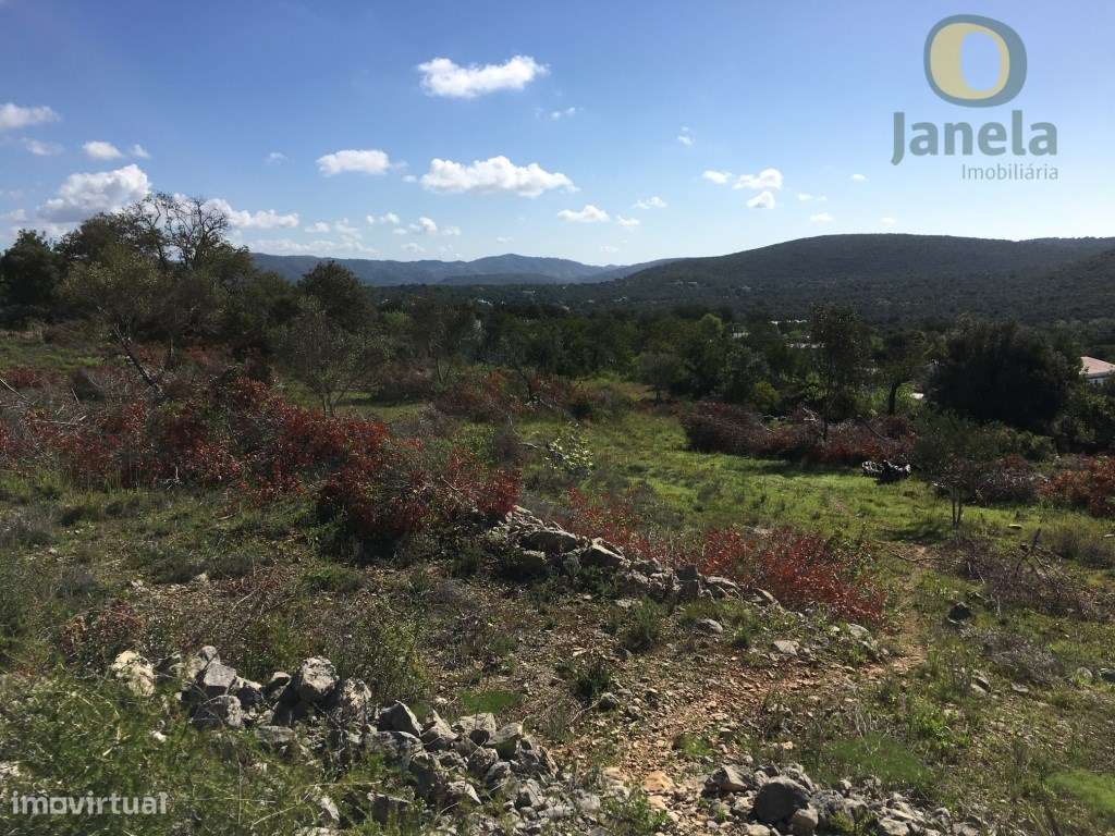Loulé - Terreno com 9.800m2, permitindo a construção de uma moradia - Grande imagem: 3/5