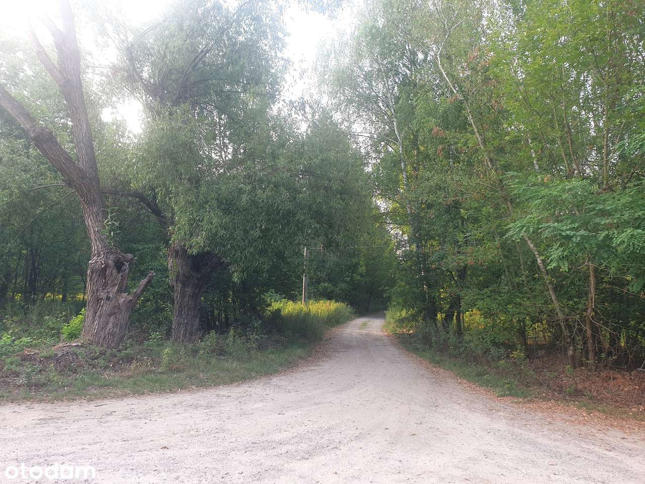 Otwock. Las, spokój, cisza. Wydane WZ. Wszystkie media. Nowe domy-10