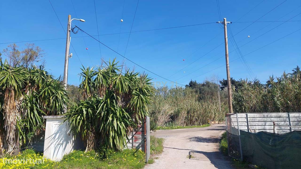 Terreno Multiusos (7680m²) com rendimento-5