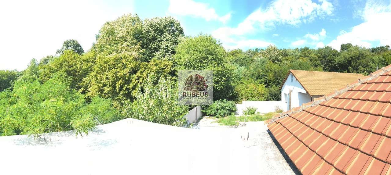 Refugiul la marginea pădurii in Orșova, pe malul Dunării-13