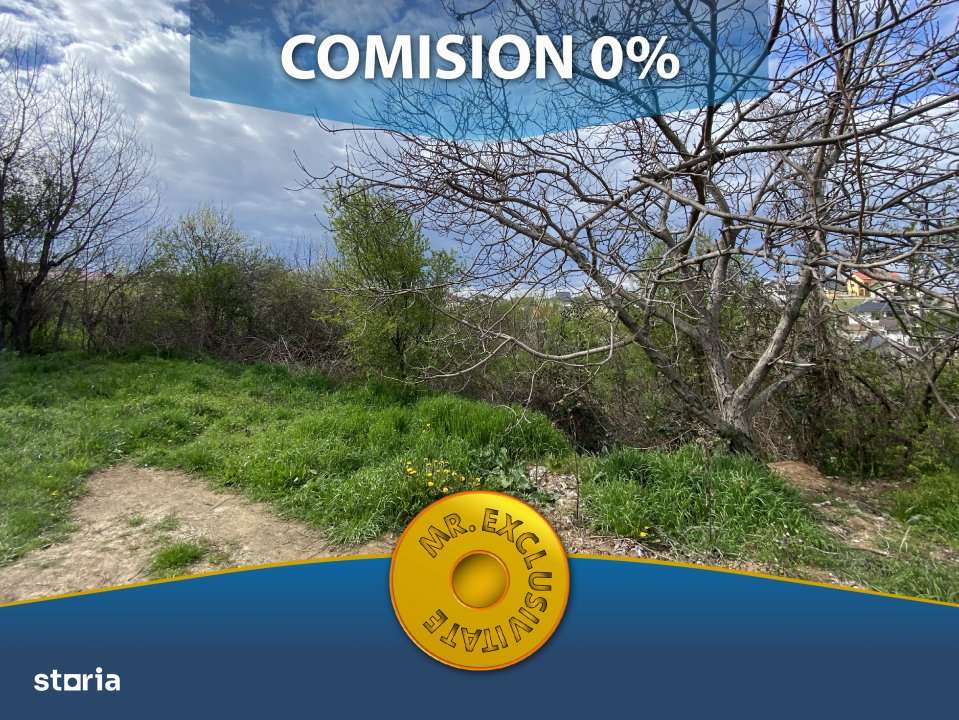 Teren intravilan 1.577 mp in Geamana, Bradu - Imagine principală: 1/7