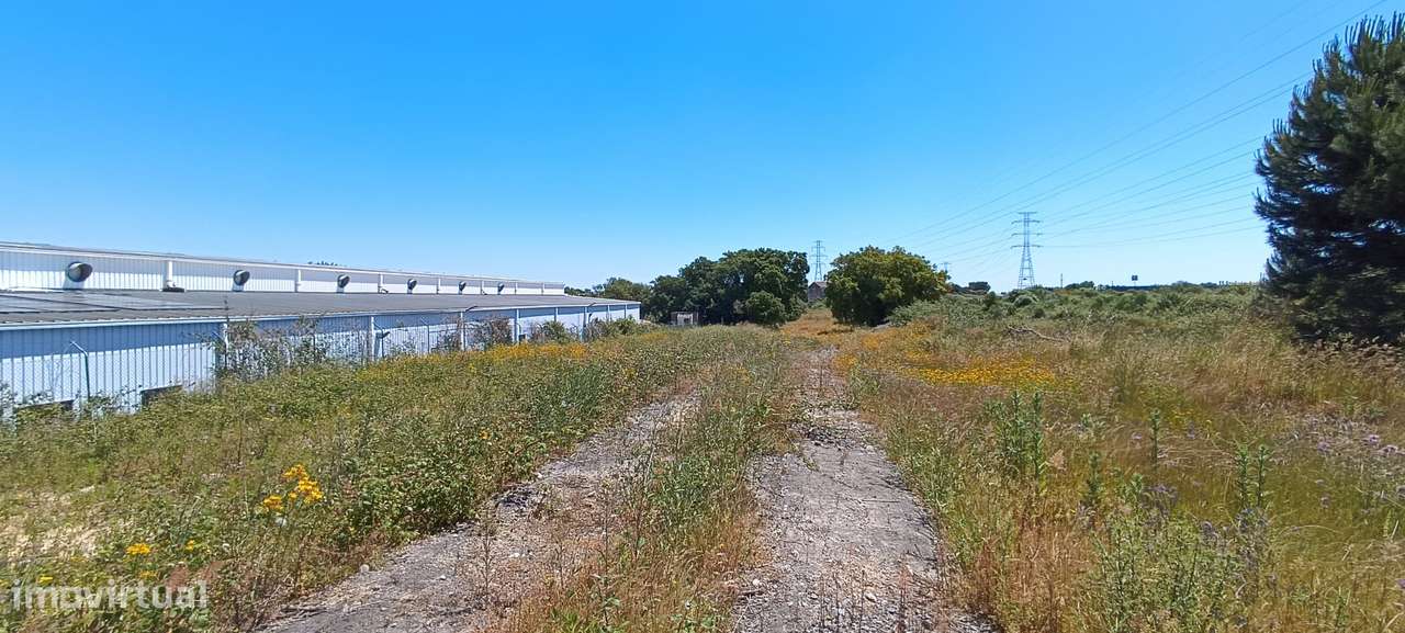 Terreno Rústico – Palmela-7