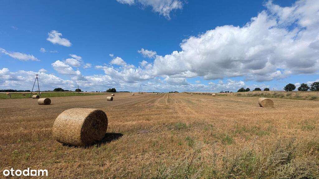 Na sprzedaż siedlisko na Pojezierzu Drawskim.-8