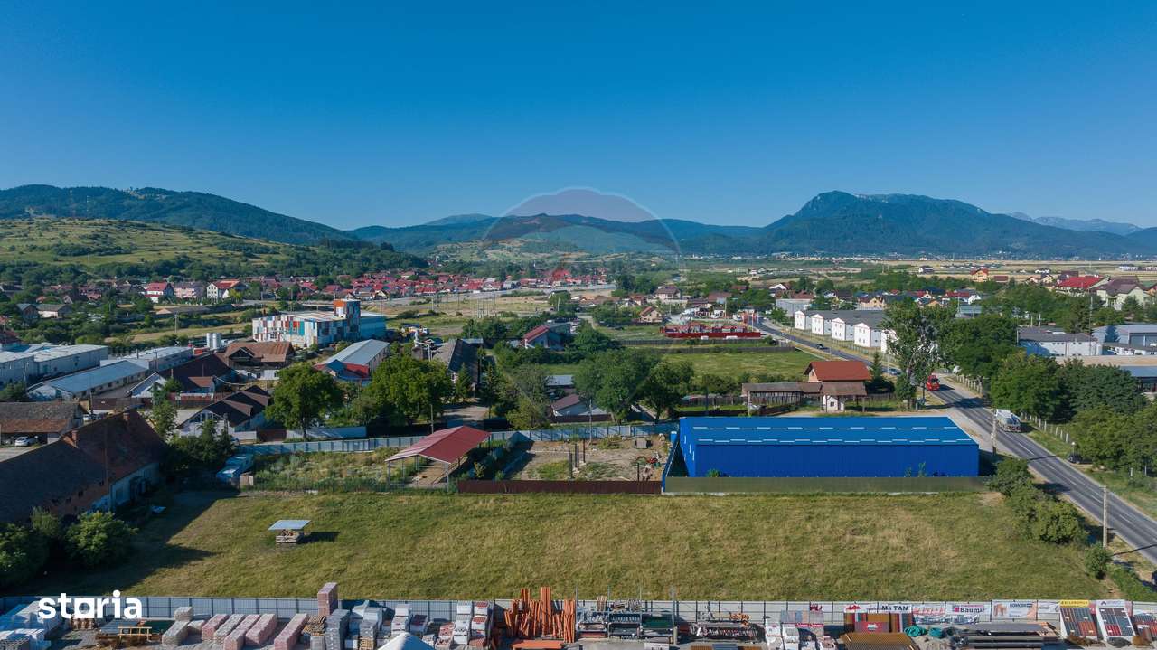 Teren industrial 4,400mp Carpinis / DJ 112D, - Imagine principală: 3/12