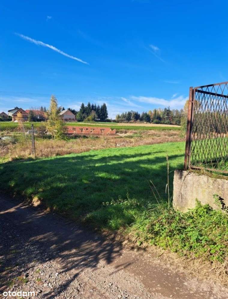 Sprzedam! - Pełny obrazek: 4/5