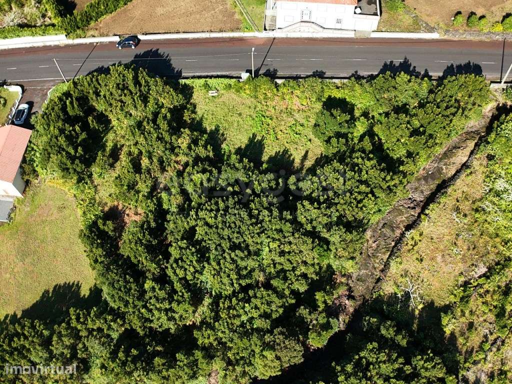 Terreno com Vista Mar - São Mateus, Madalena do Pico - Grande imagem: 4/12