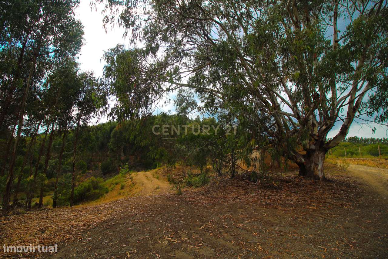 Ruína  T4 de 140 m2, inserida num terreno urbano amplo de 6732 m2, loc - Grande imagem: 5/16