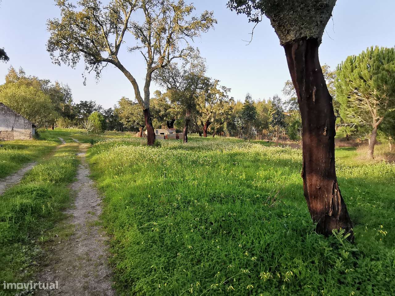 Moradia T2  Lamarosa de Coruche-35