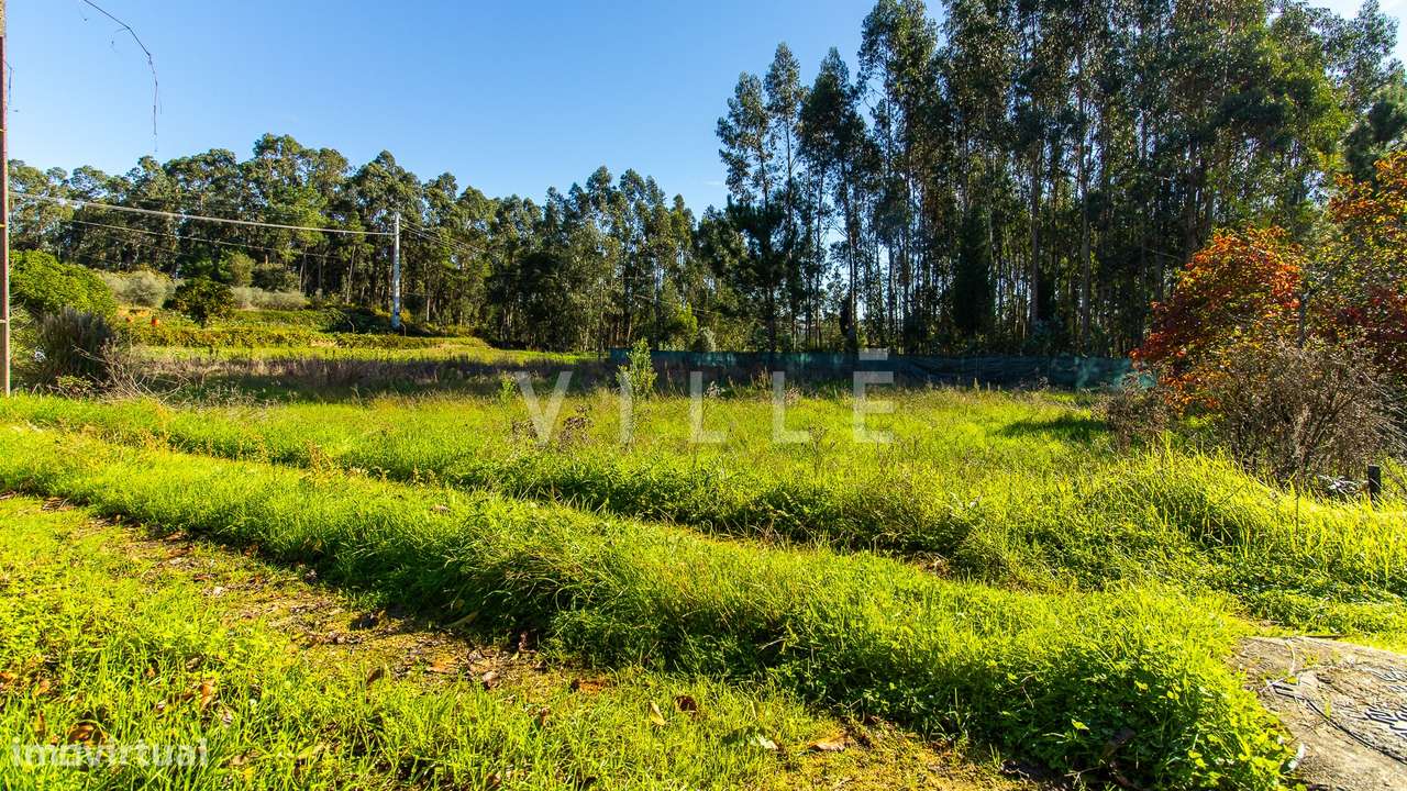 Terreno para venda no Troviscal para construção de moradia isolada - Grande imagem: 5/9