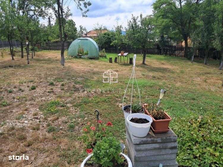 Casa si teren 2000 mp-2