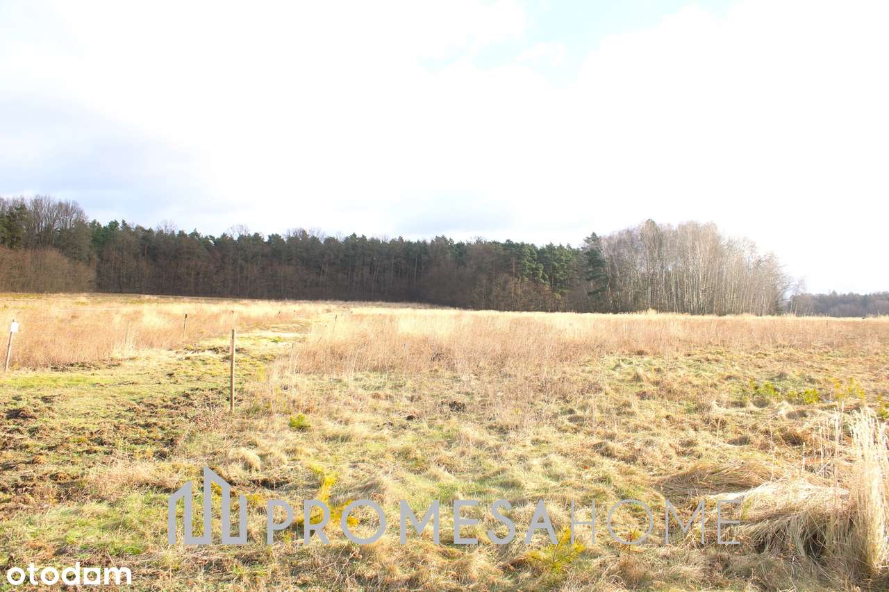 Działka, 500 m², Biała Rawska - Pełny obrazek: 4/4