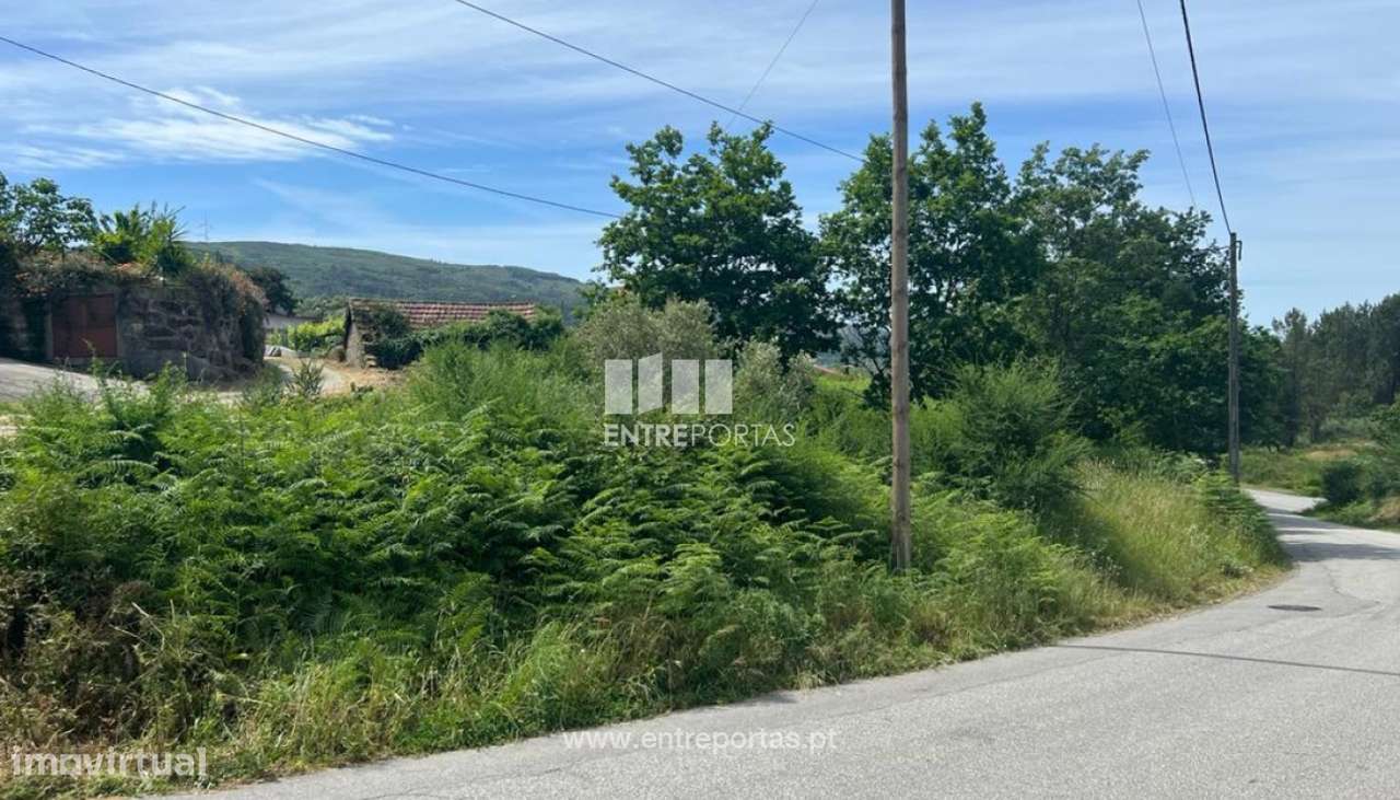 Venda Moradia para Reconstruir, São Simão, Amarante - Grande imagem: 5/39