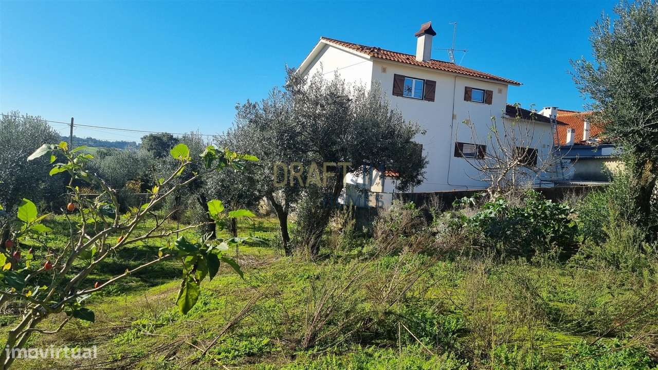 Terreno com Viabilidade de Construção – 456 m² | Próximo de Leiria - Grande imagem: 5/52