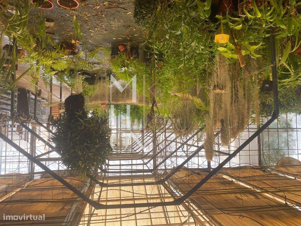 Terreno Lameiras - Grande imagem: 5/51