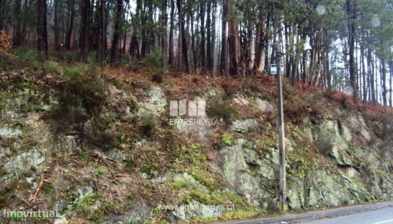 Venda Terreno, Real, Amarante - Grande imagem: 4/6