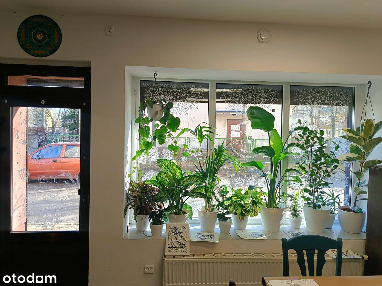 Lokal użytkowy w centrum Leszna-8