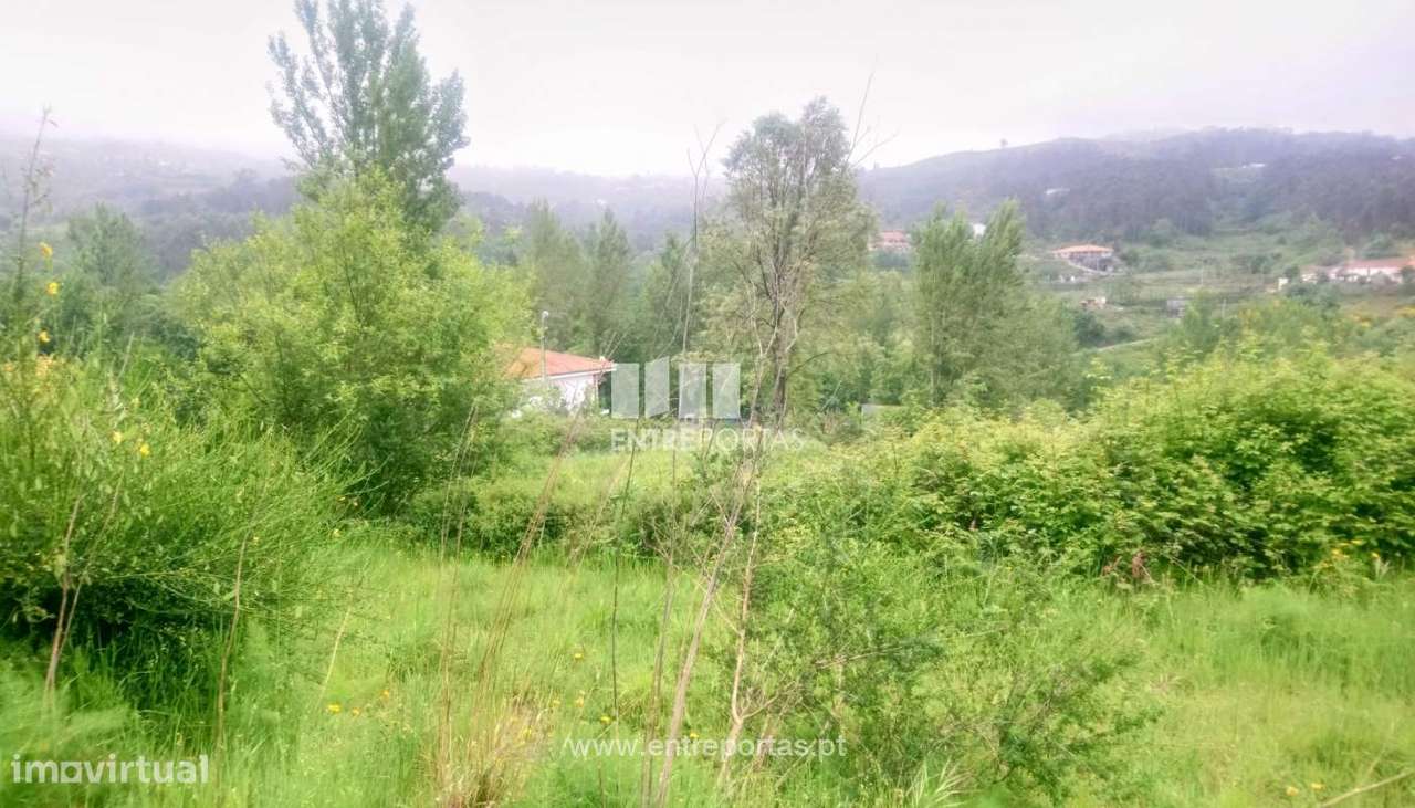 Venda Terreno c/ possibilidade de construção de Moradia, Soalhães, - Grande imagem: 5/36