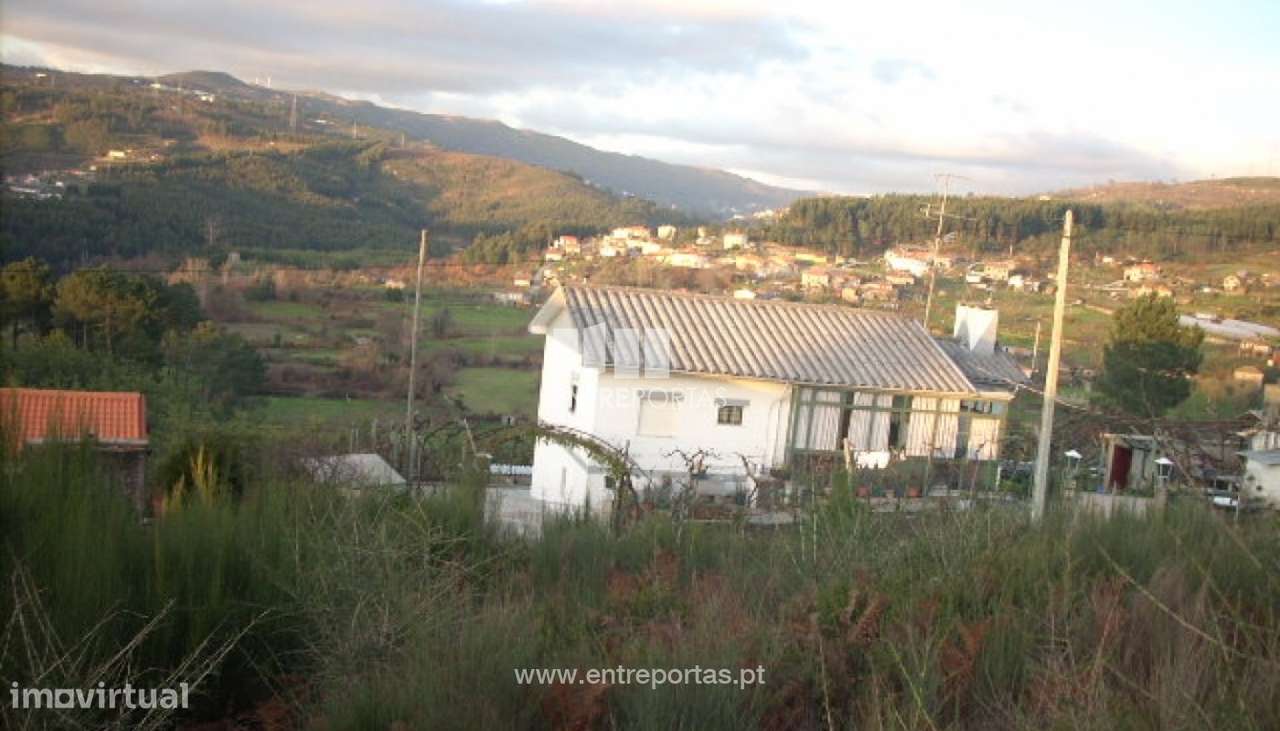 Venda Terreno, Gove, Baião - Grande imagem: 4/12