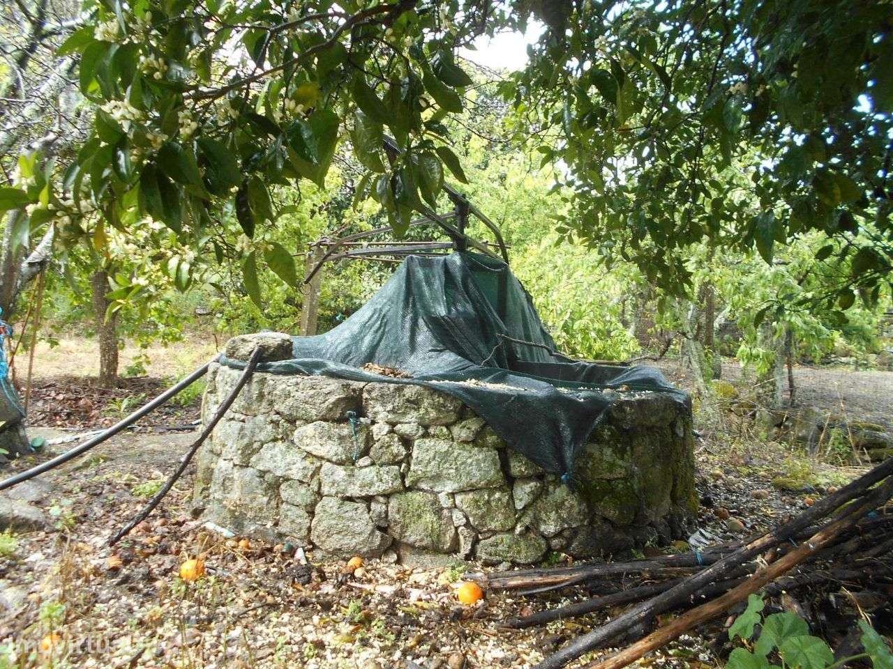 Quintinha - Grande imagem: 4/8