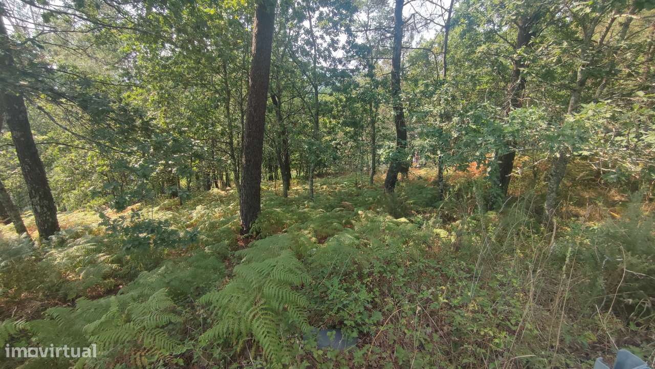 Terreno em Fiscal, Amares-3