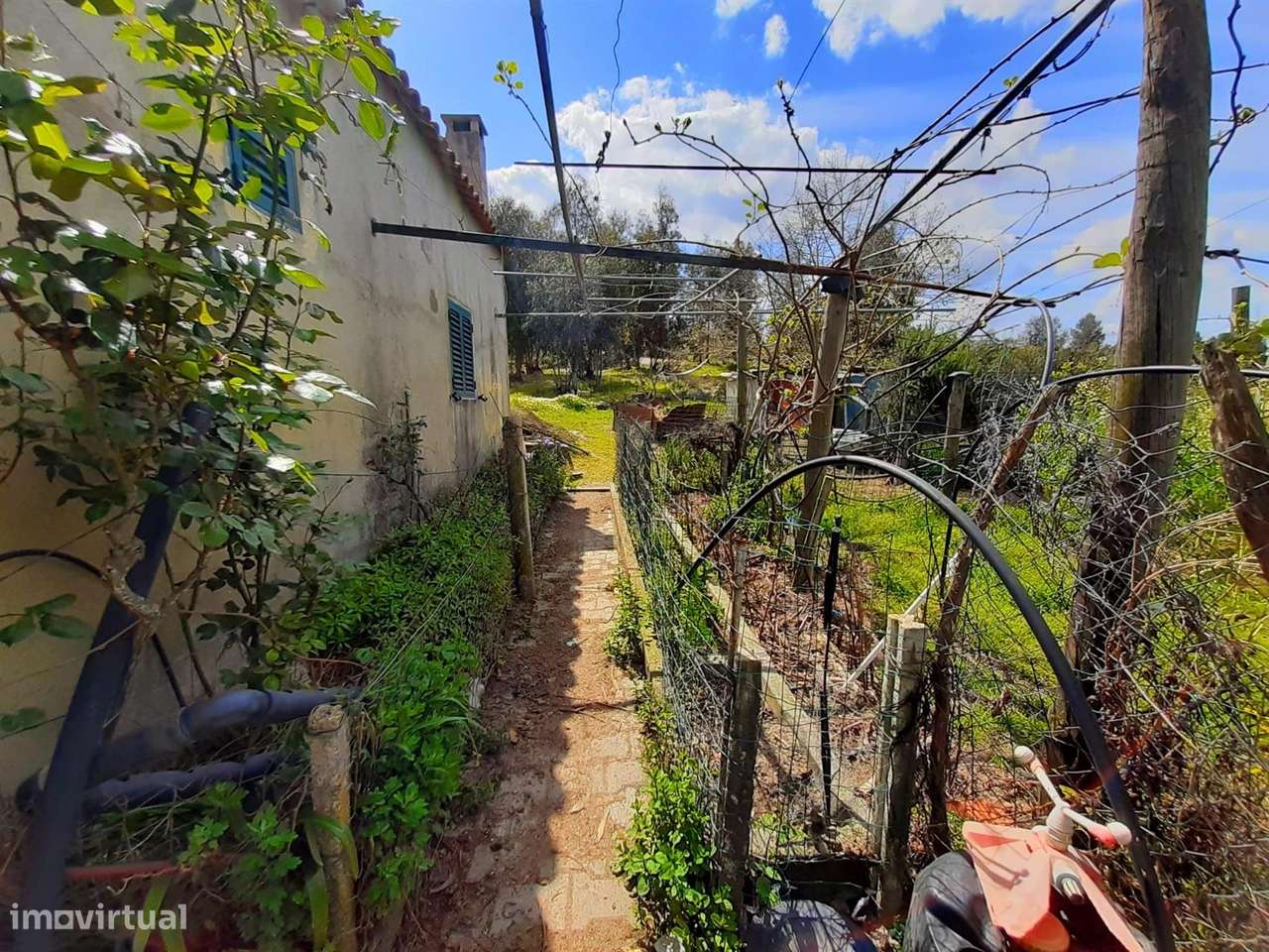 Quintinha - Grande imagem: 5/14