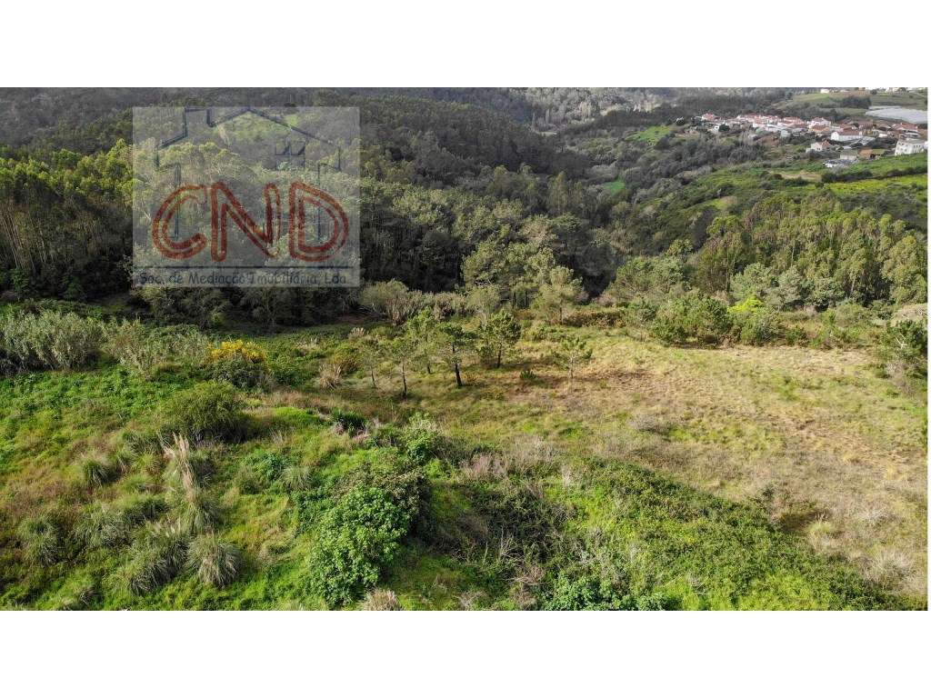 MAFRA - QUINTA, Moradia Arquitetura Tradicional Portuguesa com pisc...-26