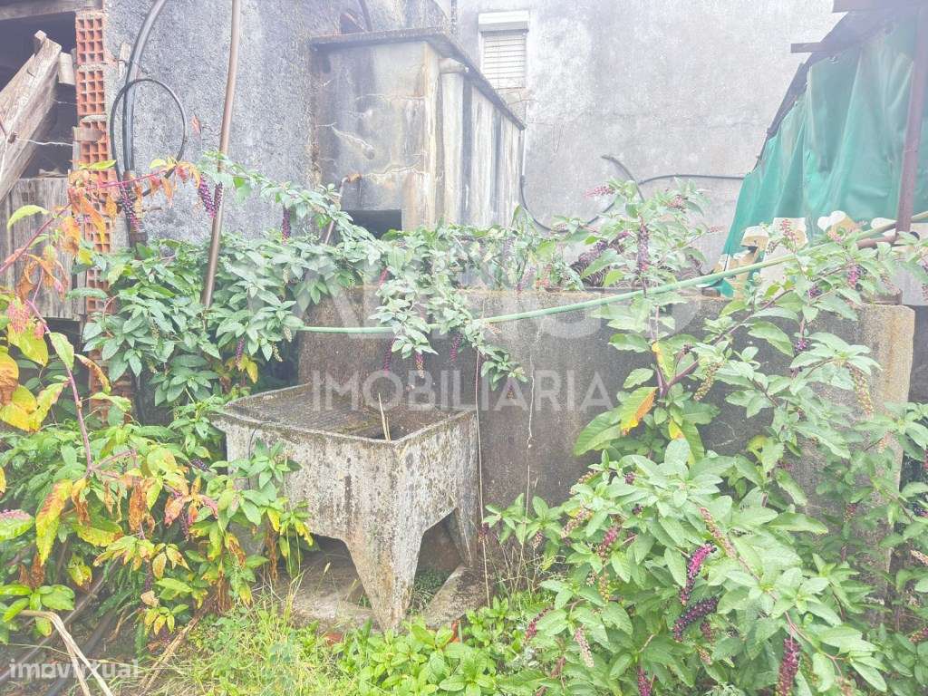 Casa para reconstrução em Pedrógão Grande-12