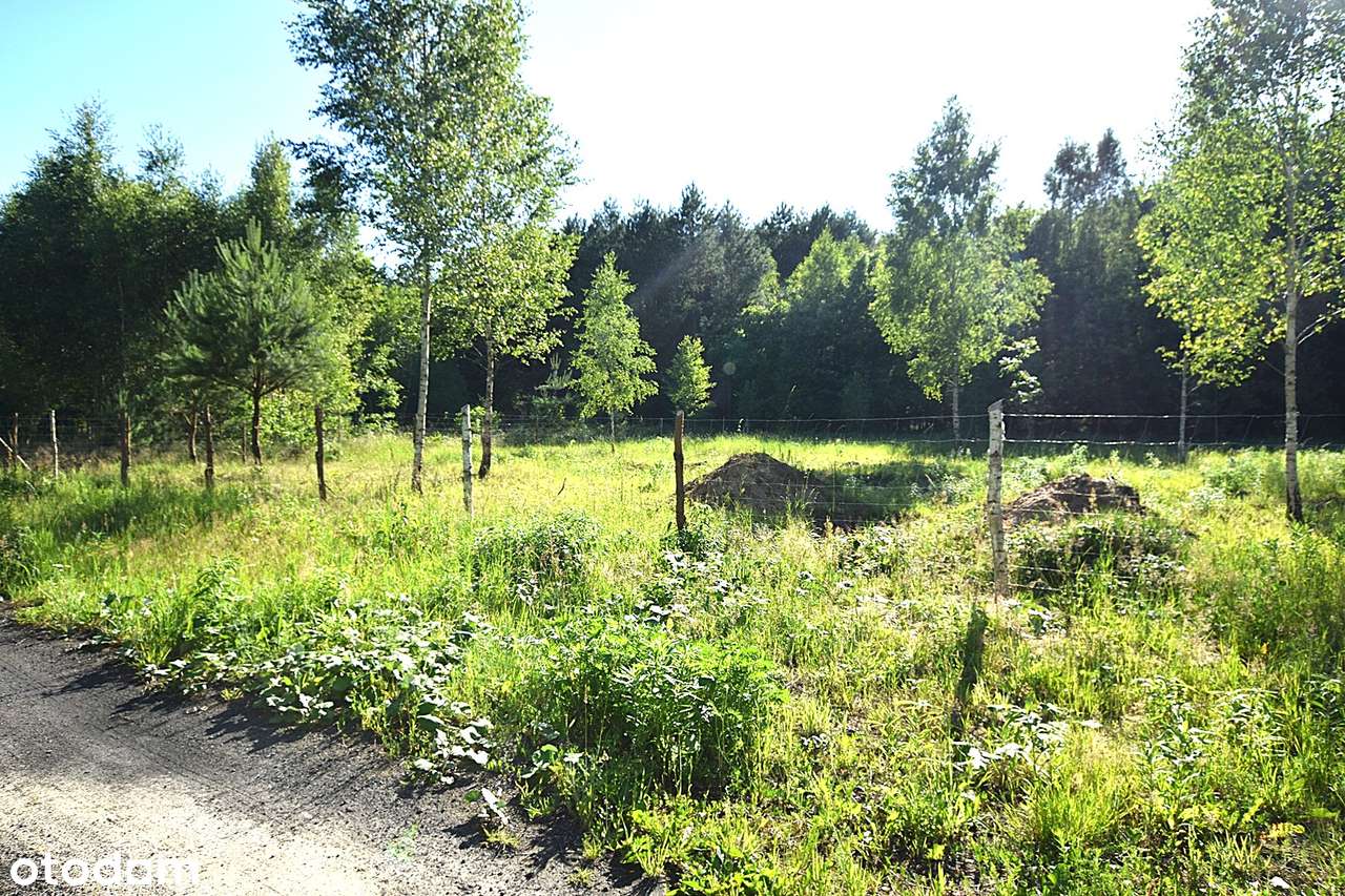 SPRZEDAM !!!! Piękną działkę z warunkami zabudowy gm. Gietrzwałd-7