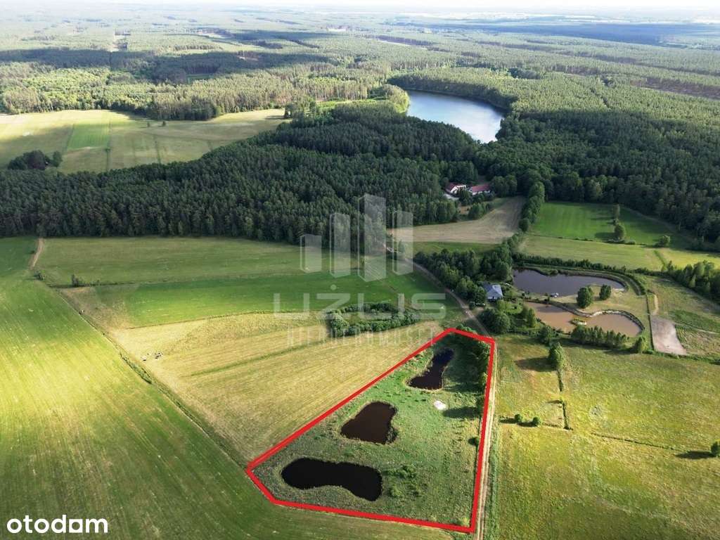 Serce Borów Tucholskich - Unikat !! - Pełny obrazek: 1/10