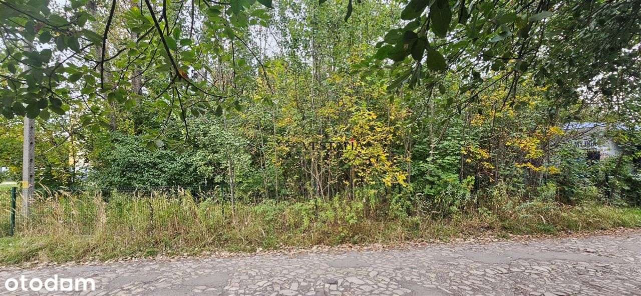 Działka w centrum Sosnowca inwestycyjna - Pełny obrazek: 5/5