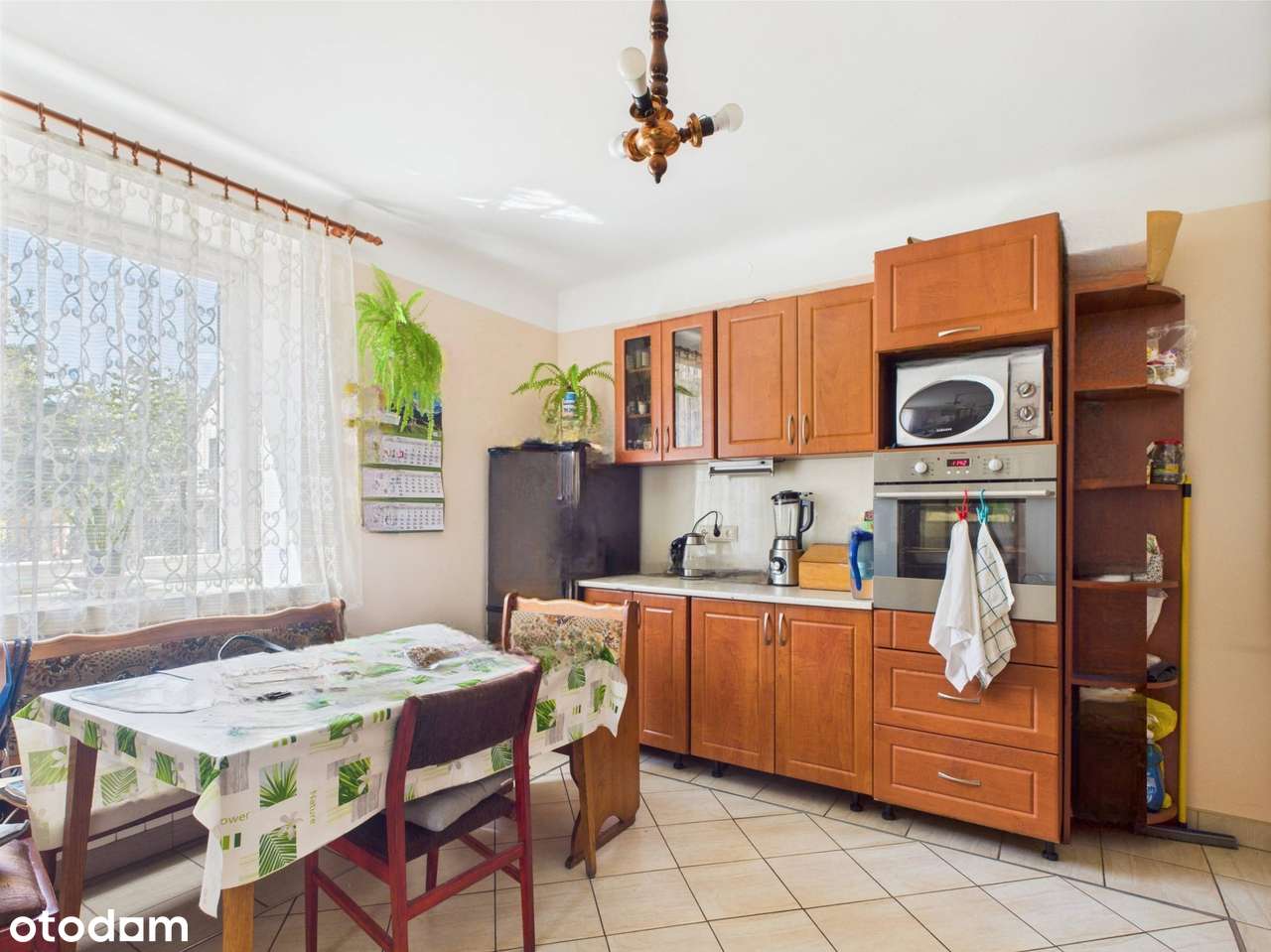 Dom w Paprotni z dodatkowym dochodem. Dwa osobne budynki - Pełny obrazek: 5/16