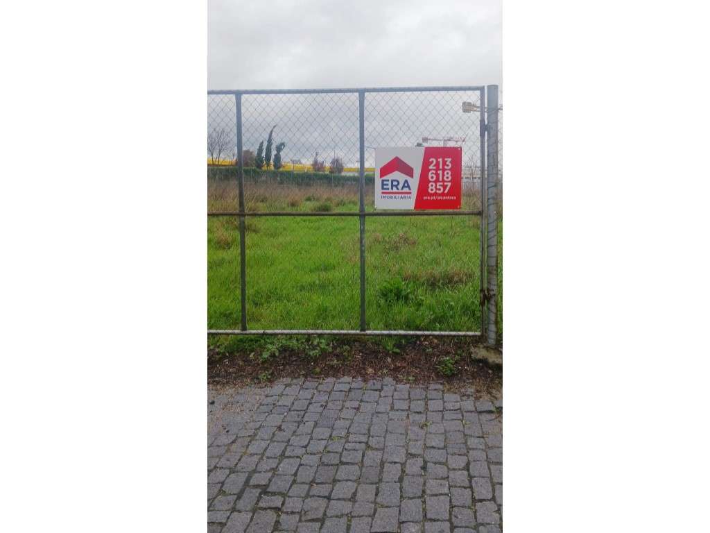 Terreno para Construção, Alter do Chão, Alter do C - Grande imagem: 5/5