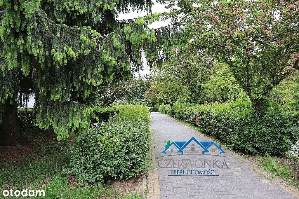 Dwupokojowe mieszkanie na pierwszym piętrze-0