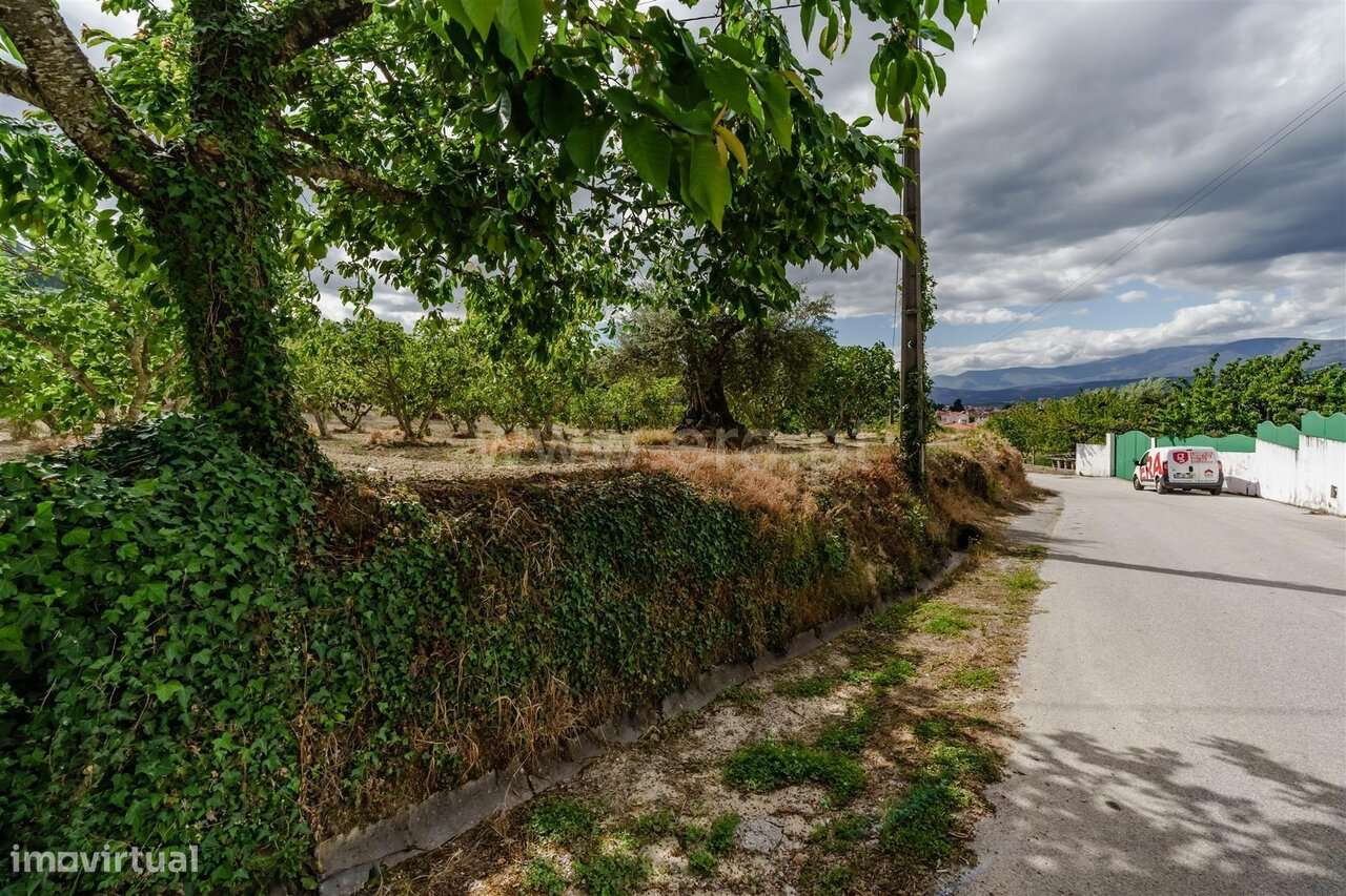 Terreno / Fundão, Fundão-9