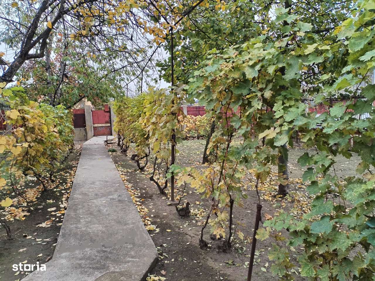 Casa cu teren - central Segarcea-1