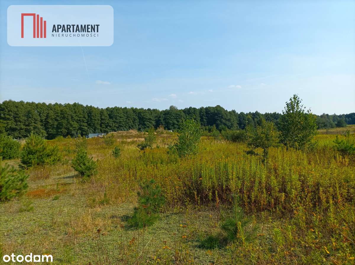 Tylko U Nas !!! Atrakcyjna Blisko Stelchna I Lasu - Pełny obrazek: 4/6