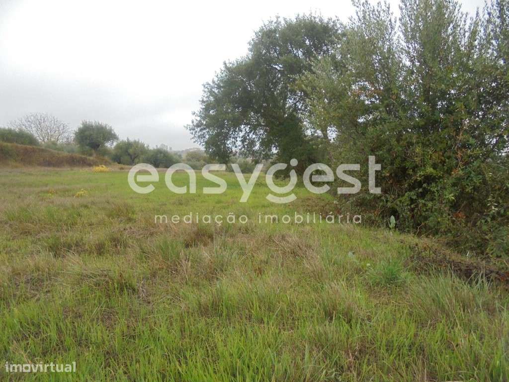 Terreno Rústico em Tomar - Grande imagem: 4/7