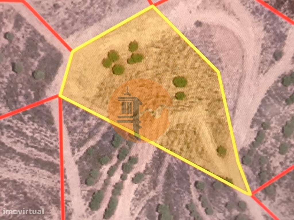 TERRENO RUSTICO COM ÁGUA - ESTRUTURA AMOVÍVEL - CORTE DO GAGO - CAS... - Grande imagem: 3/38