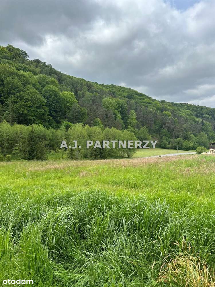 Działka budowlana 31 ar koło Łapanowa-3