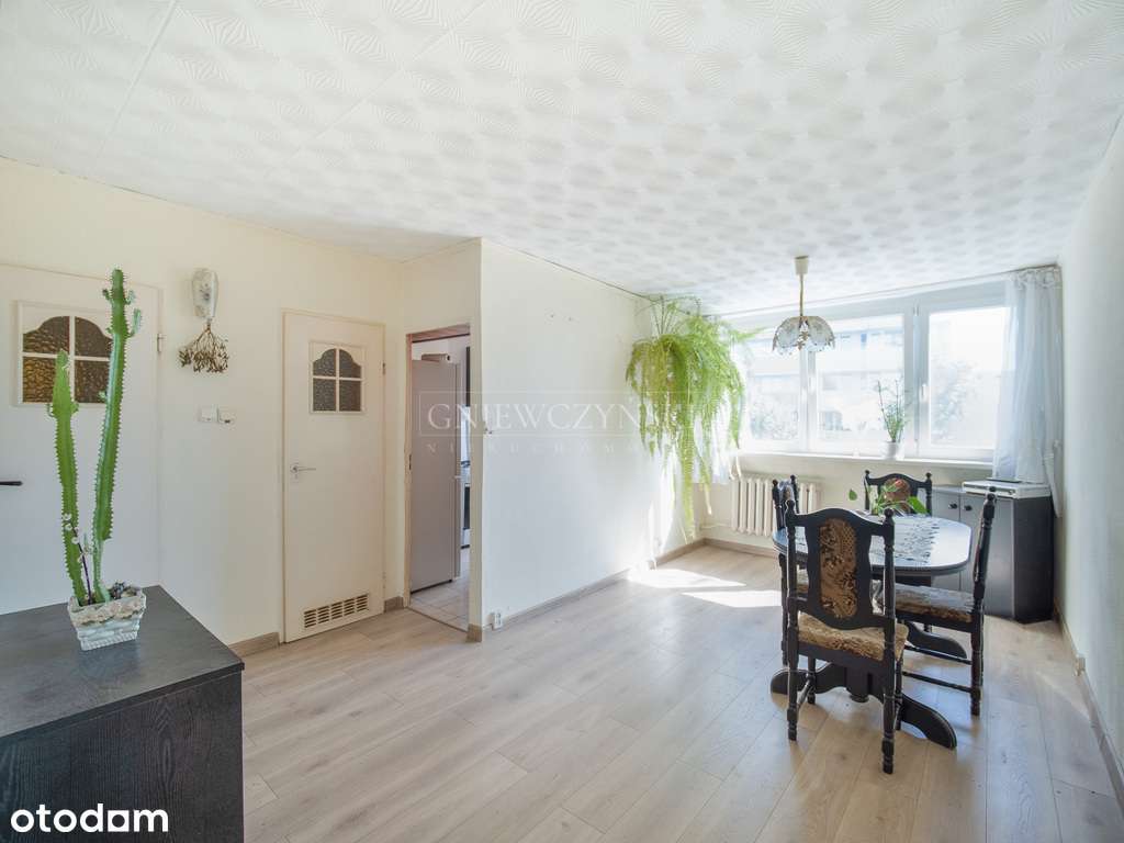 Okolice Magnolii - Zieleń | Balkon | COmiejskie-4