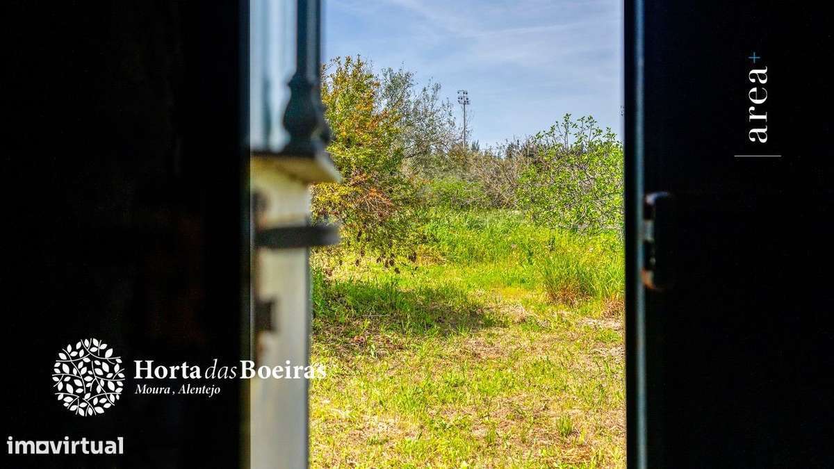 Imóvel Exclusivo | Hortas das Boeiras-10