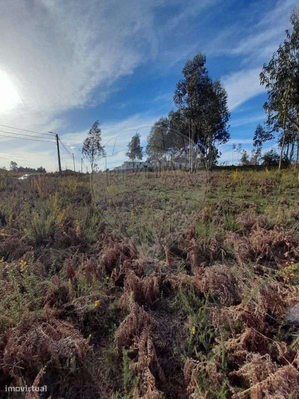 Terreno  para venda - Grande imagem: 3/6