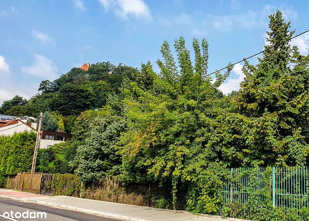 Działka mieszkaniowa lub usługowa przy Ks. Józefa!-7