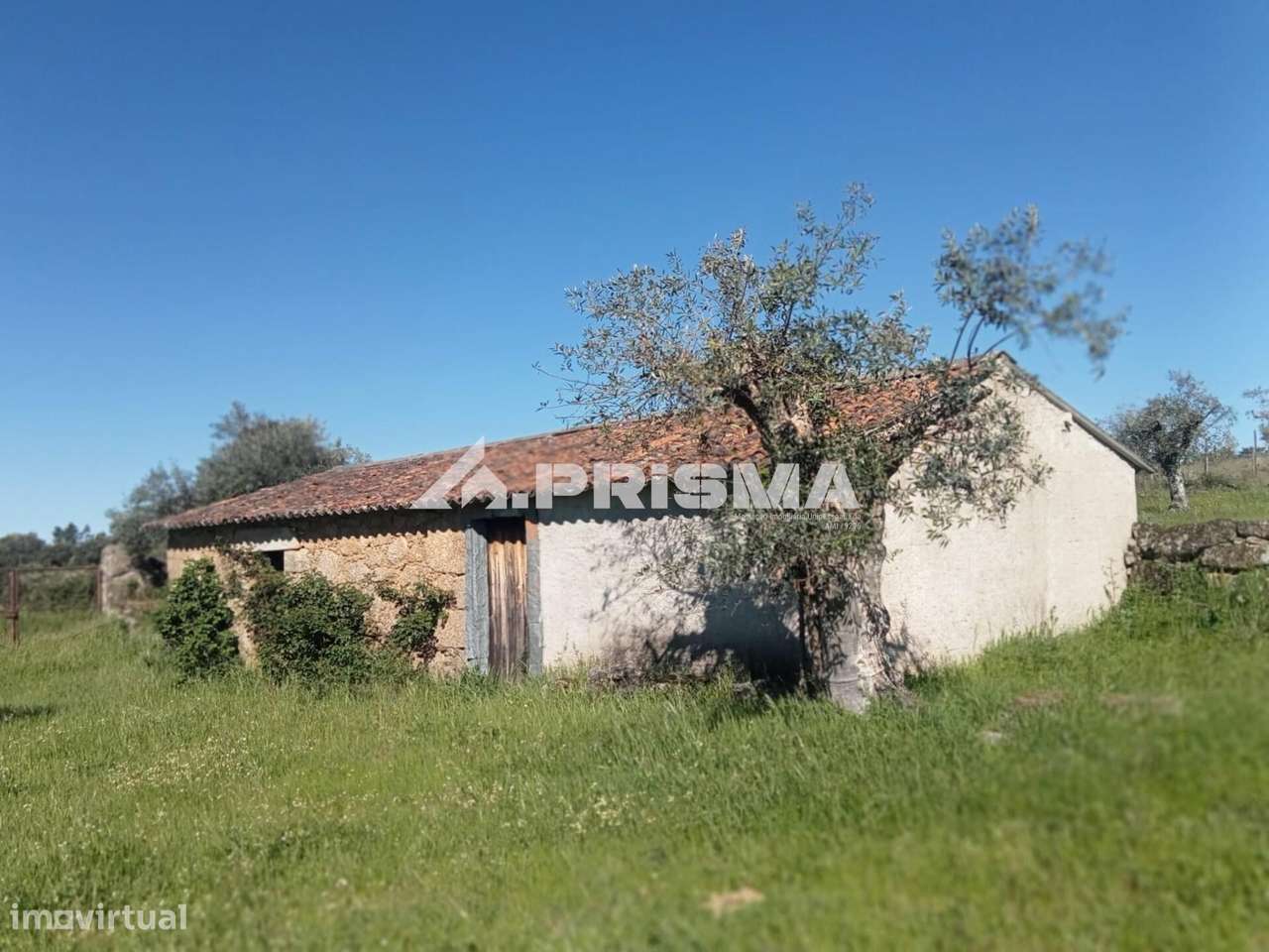 Quintinha para venda em Tinalhas, Castelo Branco-6