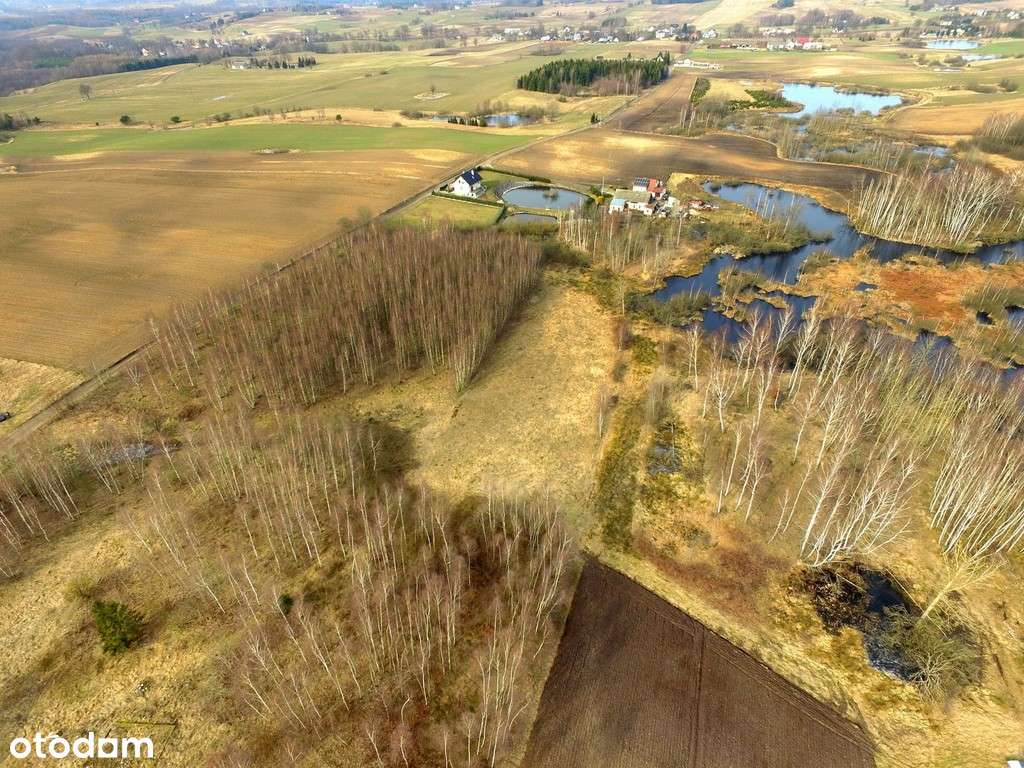 Działka w urokliwym miejscu - Pełny obrazek: 4/7