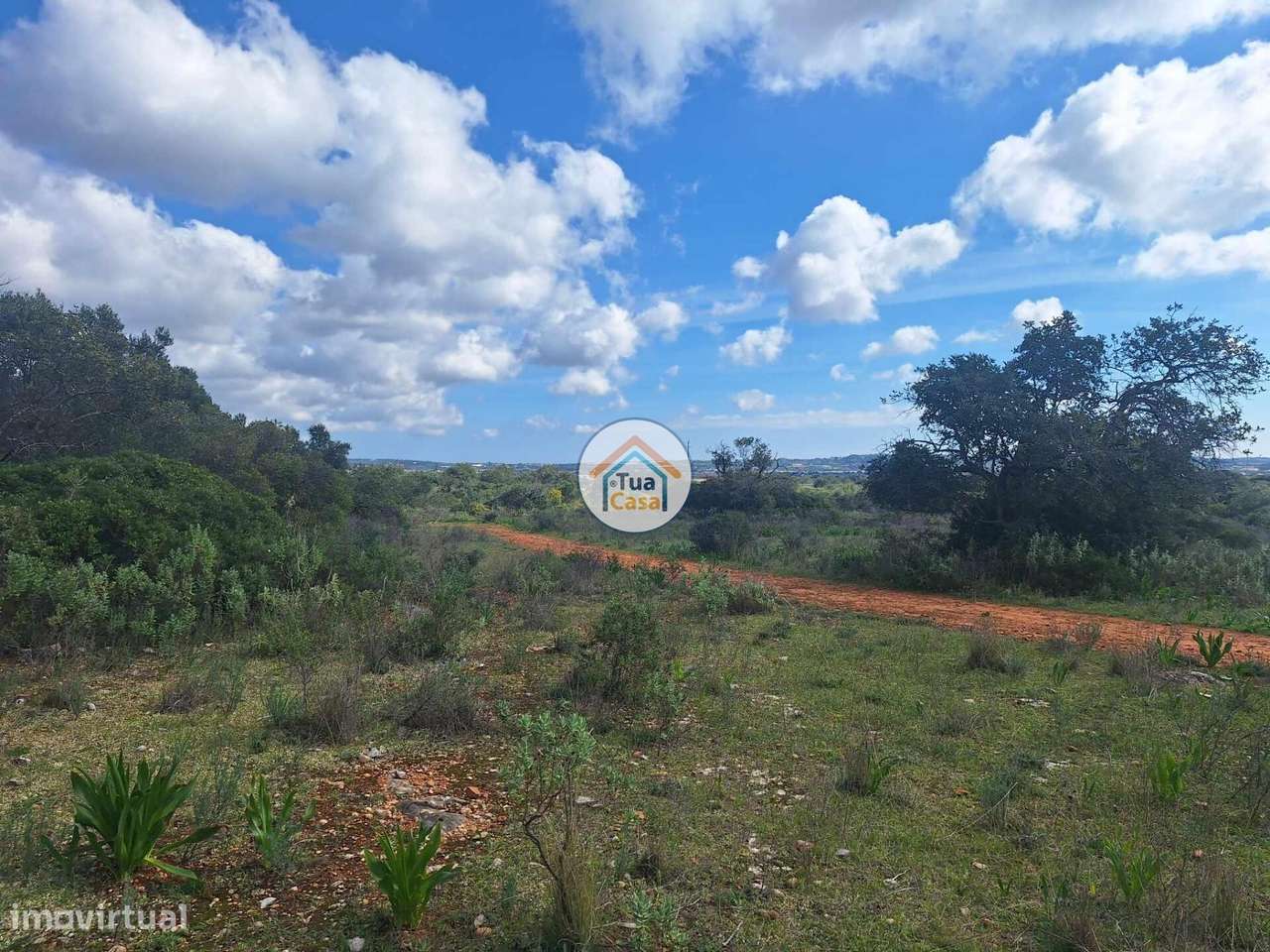 Terreno com ruína no Medronhal na freguesia de Santa Barbara de Nexe d - Grande imagem: 2/15