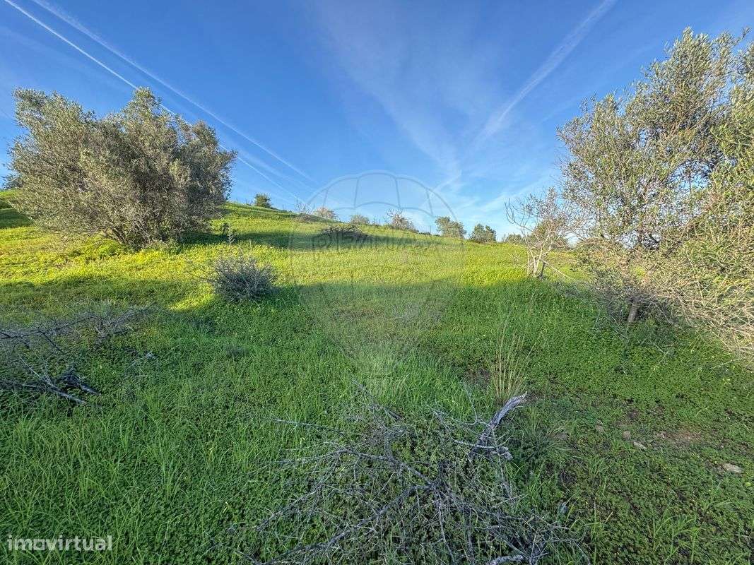 Terreno  para venda - Grande imagem: 2/10