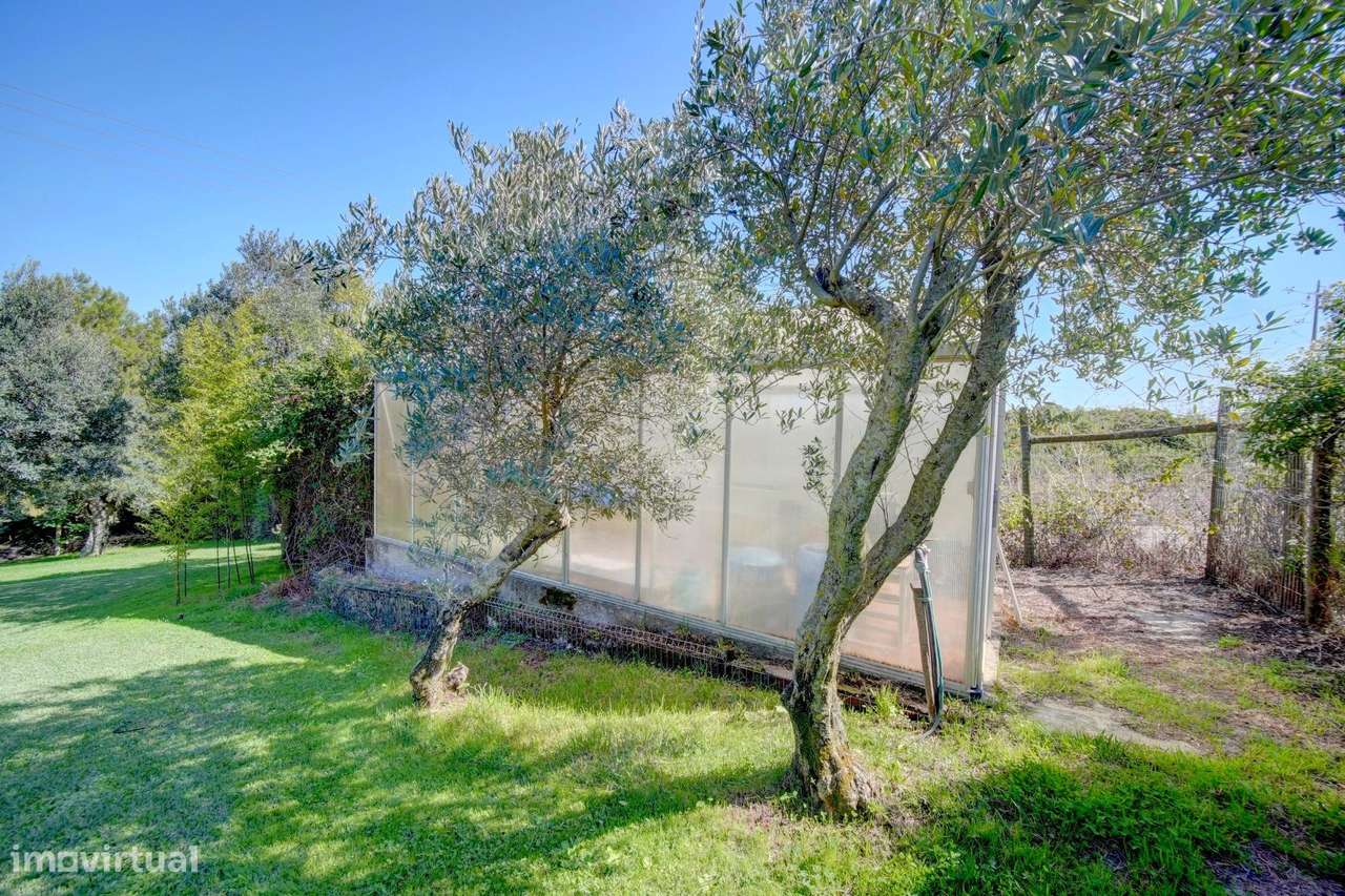 Quinta com Casa Tradicional com Piscina e Terreno de 8.800 m²-5