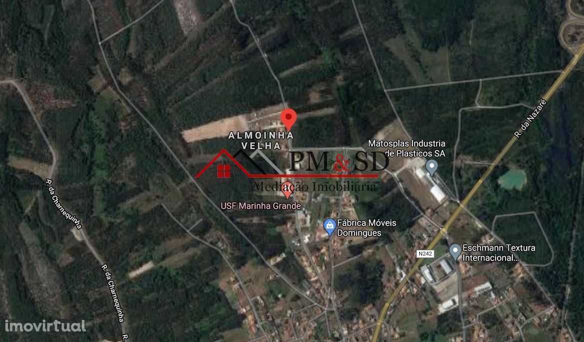 Vende-se terreno 18000 m2 -  Marinha Grande