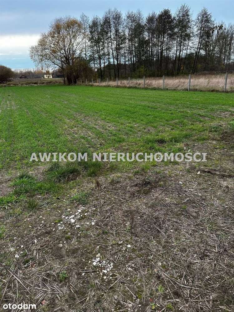 Działka, 953 m², Grodzisk Mazowiecki - Pełny obrazek: 4/4